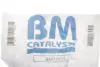 Фільтр сажовий VW T5 2.5TDI 03-09 (Євро). 3-4) BM CATALYSTS BM11033 (фото 2)