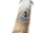 Фільтр сажевий Citroen C4/Peugeot 308 2.0HDI 04-12 (Euro 5) BM CATALYSTS BM11415H (фото 5)