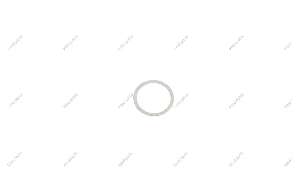 Кольцо насоса ГП A16X20 E87/E90 BMW 07119906463 (фото 1)