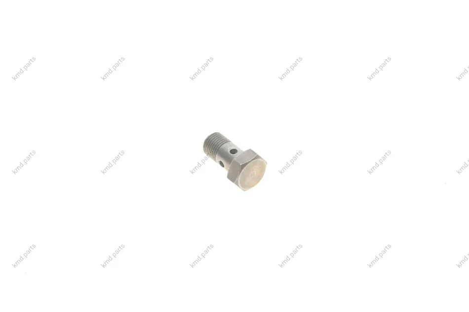Болт турбіни (M10x1х19mm) 5 (F10/F18)/X5 (F15/F85) 10- N47/B37/M51/M57 BMW 07119907291 (фото 1)