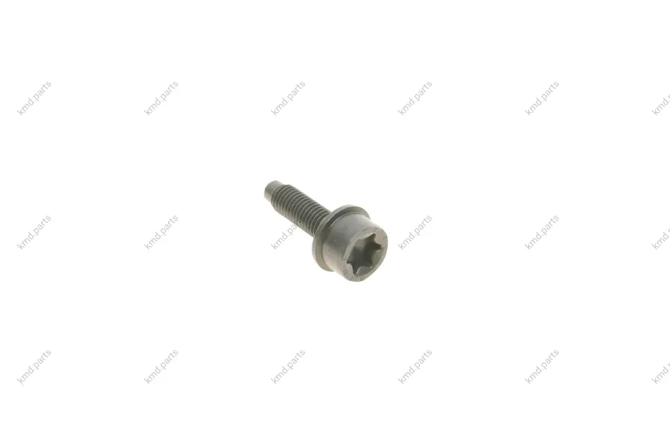 Болт зірочки маслонасосу M10x30 N20 BMW 11277619309 (фото 1)