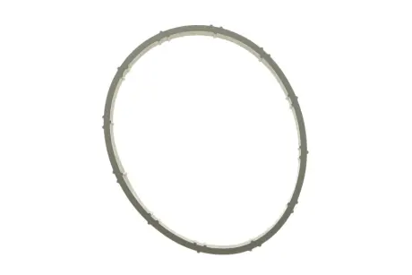 Прокладка заслінки дросельної 3 (E90/F30/F80)/5 (E60/F10/G30/F90) 00- N43/N46 BMW 13547563377