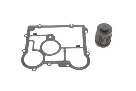 Фільтр масляний дифференціал + прокладка Opel Insignia A/B/Saab 9-3 07- (VI Generation) BorgWarner DS2006273