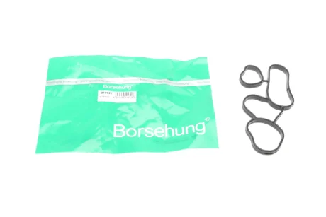 Прокладка радіатора оливного VW Passat/Golf/Touran 2.0 FSI 03-10 BORSEHUNG Borsehung B10621