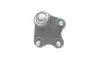 Опора кульова (передня/знизу/R) VW Polo/Skoda Fabia 1.0-2.0 99- Borsehung B11339 (фото 2)