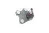 Опора кульова (передня/знизу/R) VW Polo/Skoda Fabia 1.0-2.0 99- Borsehung B11339 (фото 4)