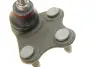 Опора кульова (передня/знизу/L) VW Polo/Skoda Fabia 1.0-2.0 99- Borsehung B11340 (фото 2)