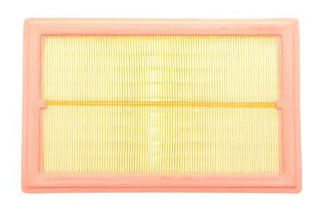 Повітряний фільтр Borsehung B12399