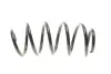 Пружина (передня) VW Caddy 04-/Passat 05-14 (OE VAG) Borsehung B12623 (фото 4)