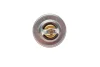 Термостат VW T5/Caddy/Passat 1.6/2.0i 03-15 (від 87-102 ° C) (OE VAG) BORSEHUNG Borsehung B13140 (фото 4)
