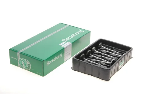 Клапан (впуск/випуск) VW Caddy 1.6TDI/2.0TDI 03- (к-кт 8шт.) (OE VAG) Borsehung B18766