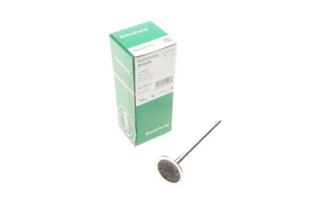 Клапан (впуск) Ауді A4/A6/VW Golf V/VII 1.8TSI-4.2FSI 02- (OE VAG) Borsehung B19026