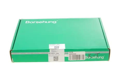 Клапана к-кт 6*6 (04E109601+04E109611L) (OE) Borsehung B19160