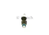 Форсунка бензин NISSAN/RENAULT Juke/X-Trail/Meagne \&#039;\&#039;1.6DIG-T \&#039;\&#039;10-22 =&quot;&quot; BOSCH 0261500210 (фото 1)