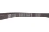Комплект ГРМ + помпа Opel Astra/Vectra/Omega/Daewoo Nubira/Chevrolet Lacetti 1.8-2.0i 94-01(24x169z) 1 987 945 348 BOSCH 1987945348 (фото 16)