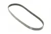 Ремінь генератора Ford Focus 2.5 ST 05-12/Mitsubishi Lancer 1.5/1.6 08- (5PK895) BOSCH 1 987 945 715 (фото 2)
