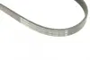 Ремінь генератора Ford Focus 2.5 ST 05-12/Mitsubishi Lancer 1.5/1.6 08- (5PK895) BOSCH 1 987 945 715 (фото 5)