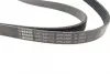 Ремінь П-клиновий 6PK2550 HYUNDAI/Santa Fe/IX35 \&#039;\&#039;2.0-2.4 \&#039;\&#039;09&gt;&gt; =&quot;&quot; BOSCH 1987945717 (фото 3)