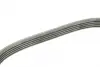 Ремінь генератора VW Golf V/Passat/Touran 1.4TSI 05-/Skoda Fabia 1.4 TSI RS 10-14 (5PK491) BOSCH 1 987 945 731 (фото 3)