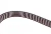 Ремінь генератора MB C-class (W202) 2.0 95-01 (6PK1863) BOSCH 1 987 945 983 (фото 3)