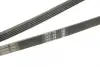 Ремінь генератора VW Passat 1.9TDI 96-00/Audi A4/A6 1.9TDI 95-01 (5PK1592) BOSCH 1 987 946 022 (фото 4)
