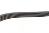 Ремінь генератора MB W202/203/VW/Audi 2.4/2.8i (6PK1760) BOSCH 1 987 946 037 (фото 3)