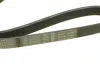 Ремінь генератора поліклиновий Nissan Almera 2.0 00-03/ Primera 2.0 16V 96-01 (6PK1030) BOSCH 1 987 946 051 (фото 4)