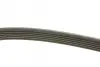 Ремінь генератора Audi A4/A6/A8 2.4/2.6/2.8 95- (6PK1880) BOSCH 1 987 946 064 (фото 2)
