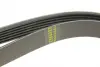 Ремінь генератора MB E-class (W124/W211)/ M-class (W164) (6PK2355) BOSCH 1 987 946 074 (фото 4)