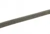 Ремень генератора BMW 3 (E46)/5 (E39)/7 (E38)/X5 (E53) 3.0D 98-05 (M57) (5PK2063) BOSCH 1 987 946 079 (фото 2)