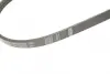 Ремінь генератора Fiat Doblo/Fiorino/Linea/Qubo 1.3JTD 04- (4PK1022) BOSCH 1 987 946 124 (фото 5)