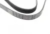 Ремінь генератора Hyundai i10/i20 1.2 13- (5PK1236) BOSCH 1 987 946 153 (фото 3)
