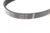 Ремінь генератора Ford Focus 1.4/1.6i 03- (6PK1059+5PK868) К-кт BOSCH 1 987 946 196 (фото 8)