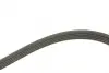 Ремінь генератора Opel Zafira 1.6 05-15/ Suzuki Baleno1.8i 96-02/ Grand Vitara2.0 98-15 (5PK1545) BOSCH 1 987 946 236 (фото 2)