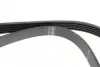 Ремінь П-клиновий 5PK1644 HYUNDAI/KIA/SUZUKI Accent/Getz/i10/i20/i30/Cerato/Grand Vitara \'\'96>> ="" BOSCH 1987946237 (фото 3)