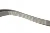 Ремінь генератора Audi A4/A6/A8/Q7 2.7/3.0TDI 04- (6PK2490) BOSCH 1 987 946 246 (фото 3)