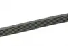 Ремінь генератора Opel Movano 2.8DTI 98-01/VW Crafter 30-35 2.0TDI 11- (6PK841) BOSCH 1 987 946 247 (фото 3)