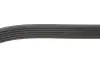 Ремінь генератора VW T4 2.5TDI 90-03 (6PK2213) BOSCH 1 987 946 275 (фото 2)