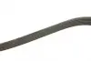 Ремінь П-клиновий 6PK1245 FORD \&#039;\&#039;2.0 tdci =&quot;&quot; BOSCH 1987946280 (фото 3)