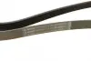 Ремінь П-клиновий 6PK1580 VAG \&#039;\&#039;2.0TDI =&quot;&quot; BOSCH 1987946294 (фото 2)