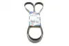 Ремінь генератора Ford Connect 1.8 TDCI 02-13 (6PK1720) BOSCH 1 987 946 295 (фото 1)