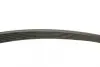 Ремінь генератора Ford Connect 1.8 TDCI 02-13 (6PK1720) BOSCH 1 987 946 295 (фото 3)