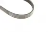 Ремінь генератора Ford Connect 1.8 TDCI 02-13 (6PK1720) BOSCH 1 987 946 295 (фото 4)
