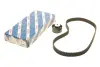 Комплект ГРМ Fiat Doblo/Punto/Stilo/Opel Combo/Jeep Renegade 1.4i 10- (22x124z) BOSCH 1 987 946 715 (фото 1)