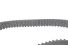 Комплект ГРМ + помпа Skoda Fabia/VW Passat/Golf 1.9TDI 00- BOSCH 1 987 946 978 (фото 13)