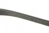 Ремінь генератора Renault Megane/Laguna/Scenic 2.0 dCi 07-/Peugeot 508 2.0HDI 18- (7PK1705) BOSCH 1 987 947 044 (фото 3)