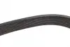 Ремінь генератора MB Atego 2/Axor 2 (OM926/OM924/OM902) 04- (8PK1920) BOSCH 1 987 947 060 (фото 4)