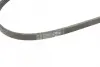 Ремінь генератора Honda CR-V 2.0 16V 4WD 95-02/Subaru Forester/Impreza/Legacy 1.5-2.5 92-09 (4PK895) BOSCH 1 987 947 559 (фото 4)