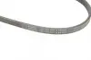 Ремінь генератора Honda CR-V 2.0 16V 4WD 95-02/Subaru Forester/Impreza/Legacy 1.5-2.5 92-09 (4PK895) BOSCH 1 987 947 559 (фото 5)