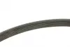Ремінь генератора Peugeot Partner 1.6 VTi 08-/Renault Kangoo/Scenic 1.5dCi/1.6 13- (6PK1205) BOSCH 1 987 947 577 (фото 2)